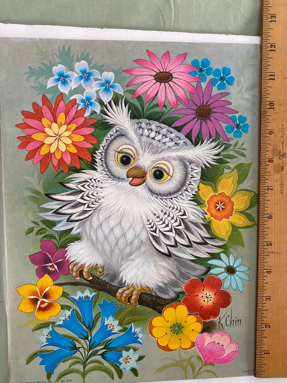 VINTAGE 1973 Owl Lithograph Set Of 4 9